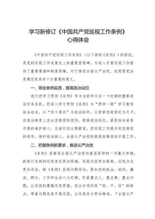 九篇乡镇书记学习2024新修订中国共产党巡视工作条例心得体会.docx