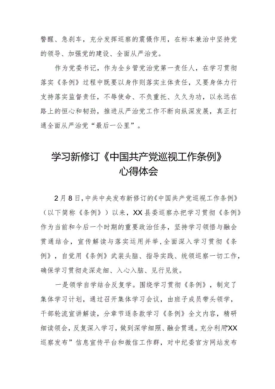 九篇乡镇书记学习2024新修订中国共产党巡视工作条例心得体会.docx_第3页