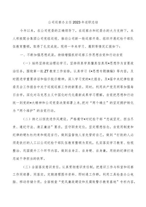 公司巡察办主任2023年述职总结.docx