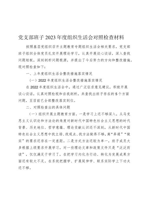 2024年党支部班子六个方面对照检查材料.docx