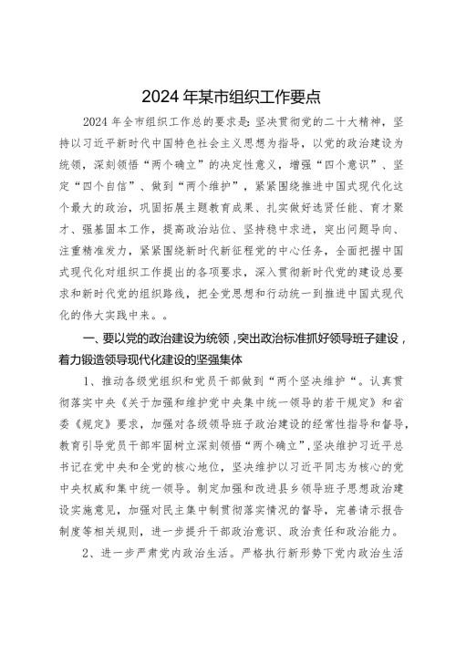 2024年市县组织工作要点计划.docx