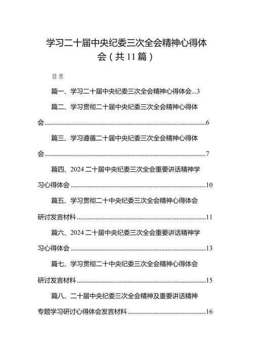 2024学习二十中央纪委三次全会精神心得体会11篇（完整版）.docx