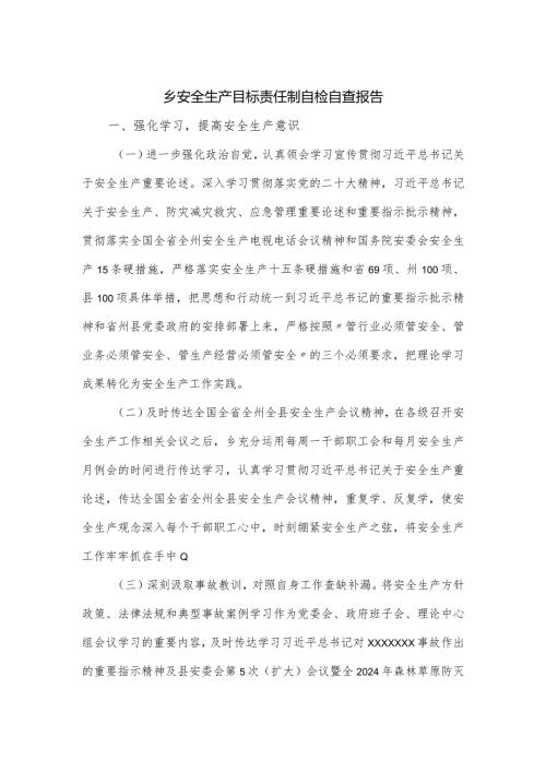 乡安全生产目标责任制自检自查报告.docx