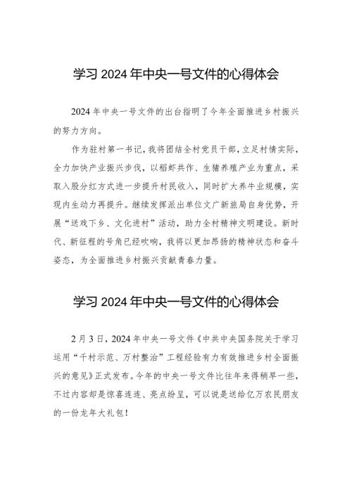驻村书记学习2024年中央一号文件的心得体会十四篇.docx