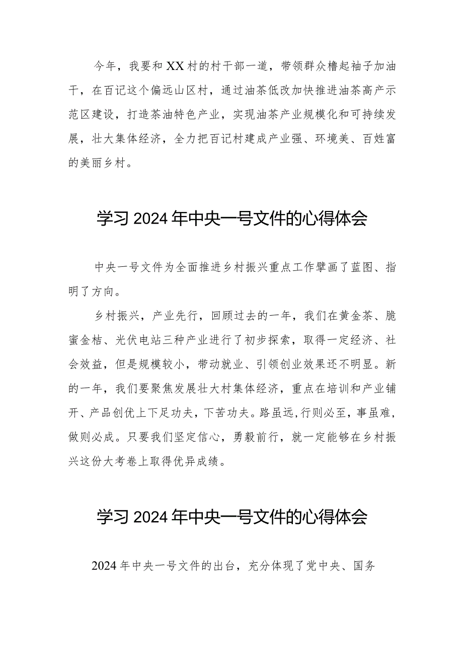 驻村书记学习2024年中央一号文件的心得体会十四篇.docx_第3页