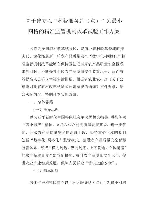 关于建立以“村级服务站（点）”为最小网格的精准监管机制改革试验工作方案.docx