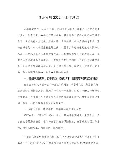 县公安局2022年工作总结.docx