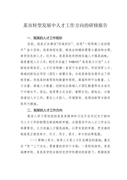 某市转型发展中人才工作方向的研修报告.docx