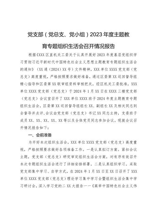 党支部（党总支、党小组）2023主题教育专题组织生活会召开情况报告.docx
