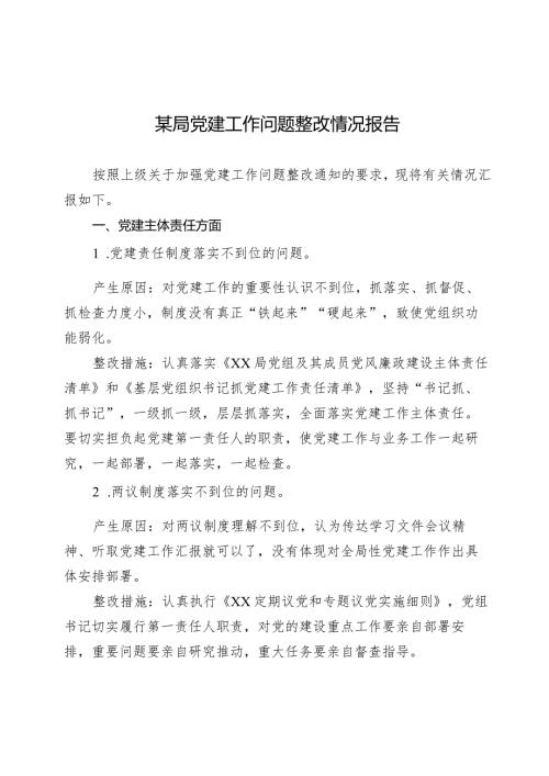 某局党建工作问题整改情况报告.docx