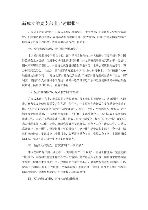 新成立的党支部书记述职报告.docx