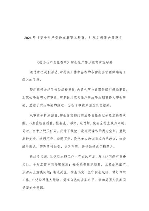 2024年《安全生产责任在肩警示教育片》观后感集合篇范文.docx