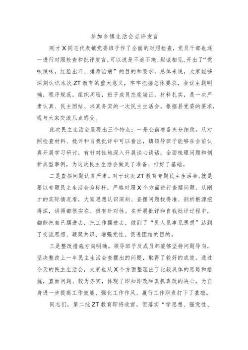 参加乡镇生活会点评发言.docx