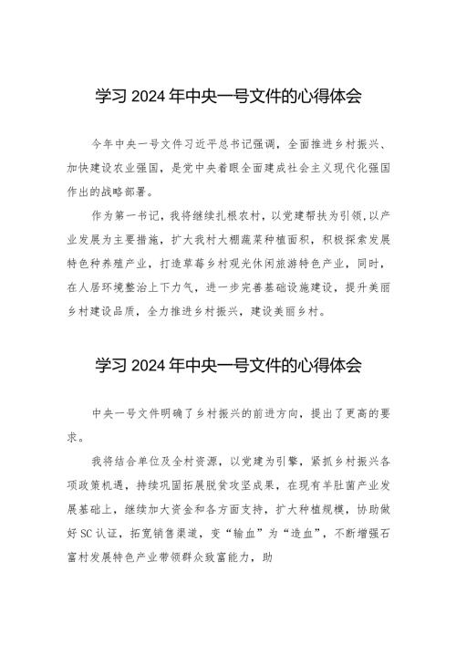 驻村干部学习2024年中央一号文件的心得感悟22篇.docx