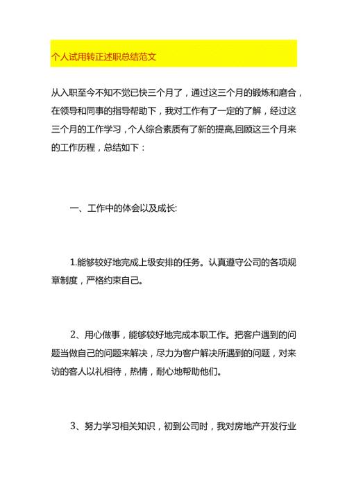 个人试用转正述职总结范文.docx
