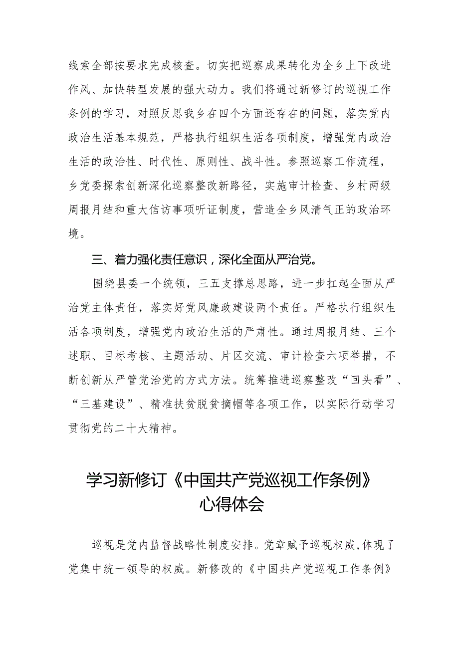 乡干部学习贯彻2024版新修订《中国共产党巡视工作条例》学习体会交流发言11篇.docx_第2页