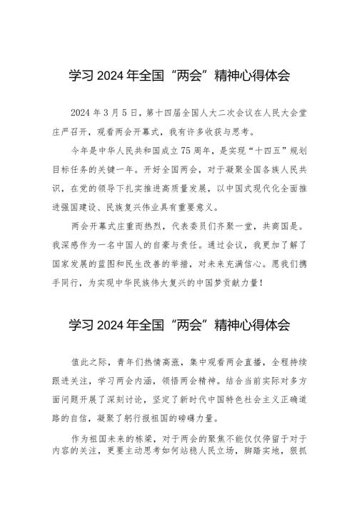 2024年“两会”精神学习体会精选范文30篇.docx