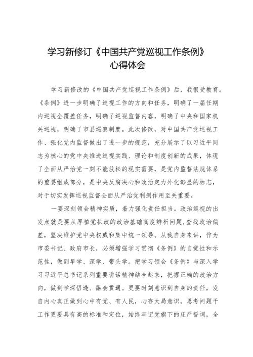 领导干部学习2024版新修订《中国共产党巡视工作条例》心得体会(十三篇).docx