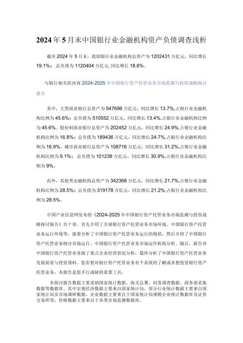 2024年5月末中国银行业金融机构资产负债调查浅析.docx