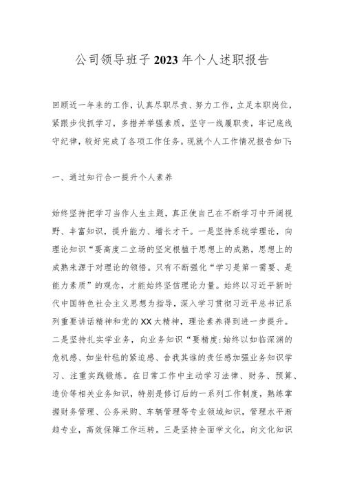 公司领导班子2023年个人述职报告.docx