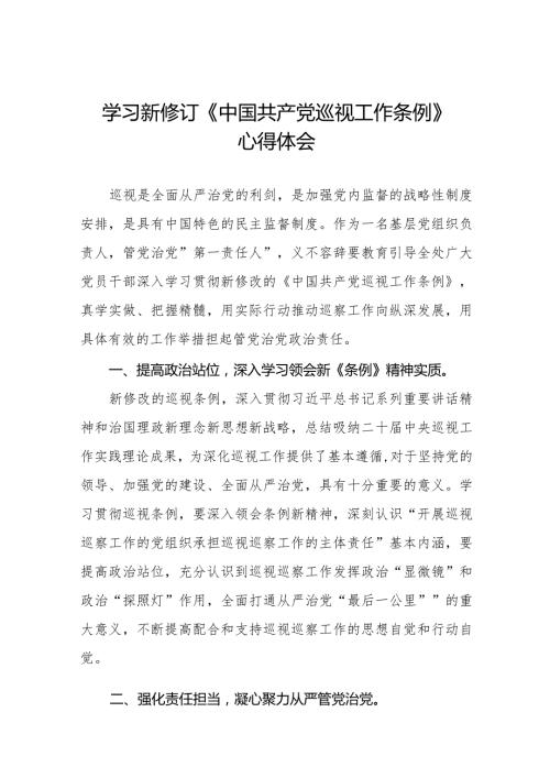 九篇学习新修订《中国共产党巡视工作条例》感想体会.docx