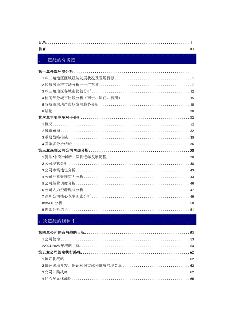 20242025年某公司战略规划报告.docx_第2页