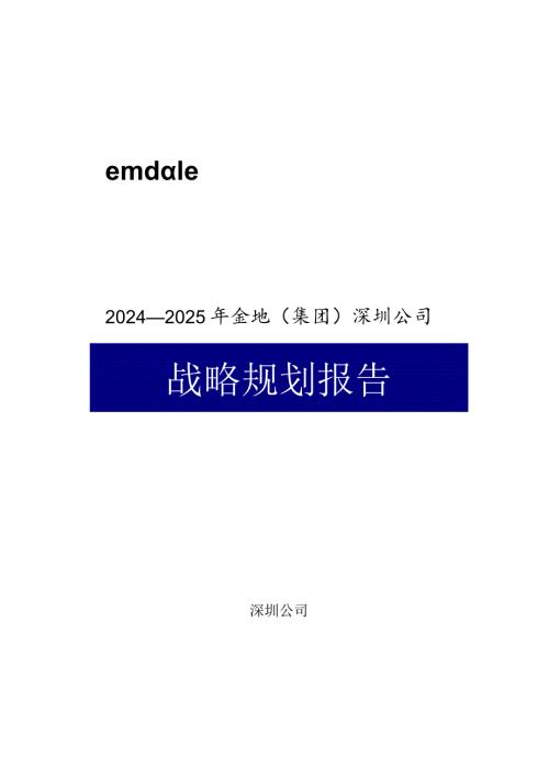 20242025年某公司战略规划报告.docx