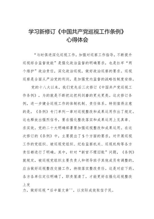 学习贯彻2024版新修订中国共产党巡视工作条例的心得体会(十三篇).docx
