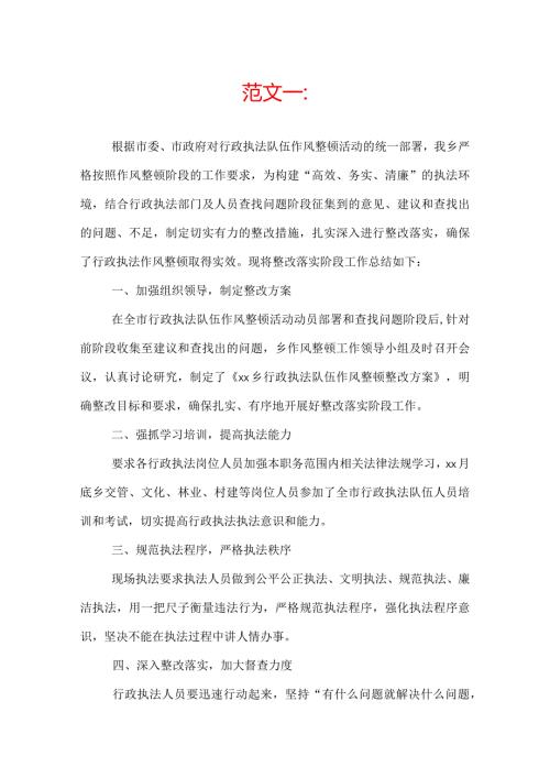 整改落实阶段工作情况的总结报告.docx