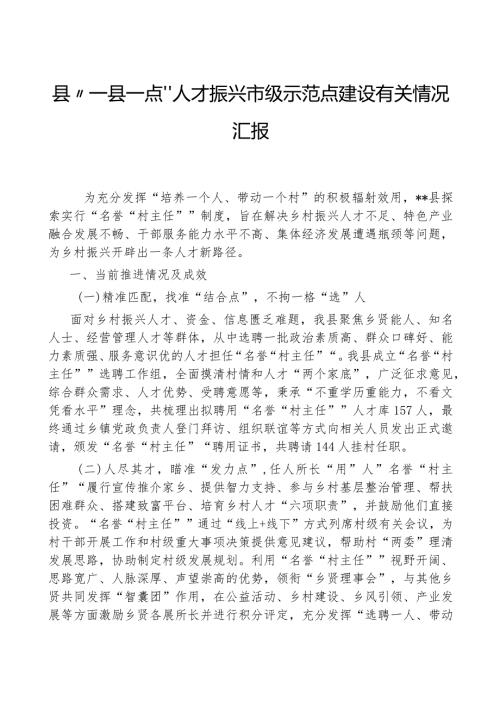 县“一县一点”人才振兴市级示范点建设有关情况汇报.docx