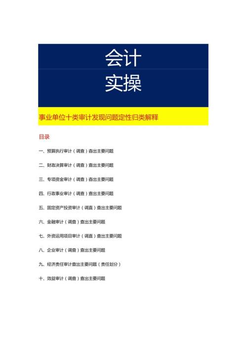 事业单位十类审计发现问题定性归类解释.docx