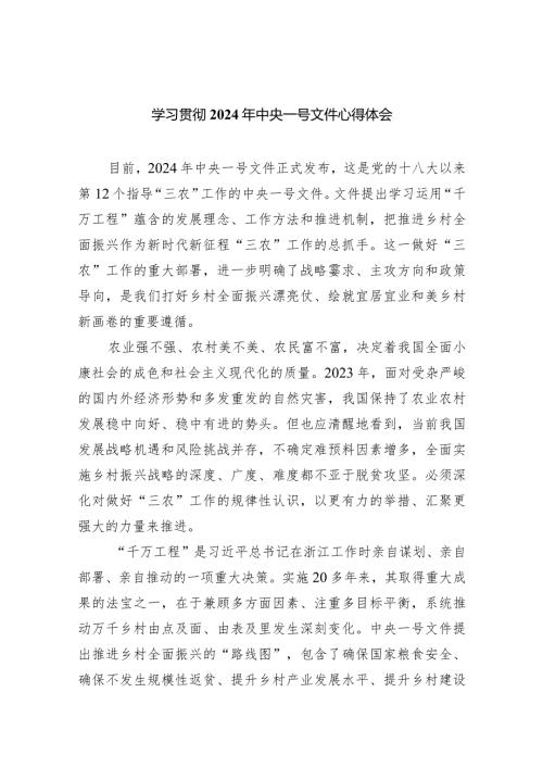 学习贯彻2024年中央一号文件心得体会9篇（最新版）.docx