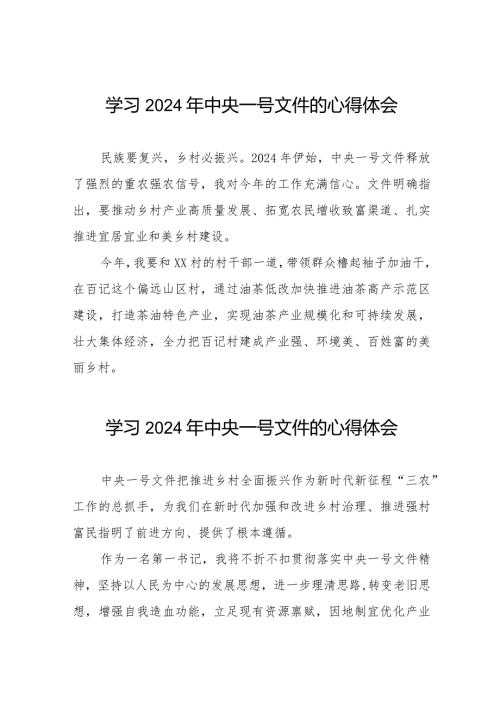 驻村干部关于2024年中央一号文件的学习体会十四篇.docx