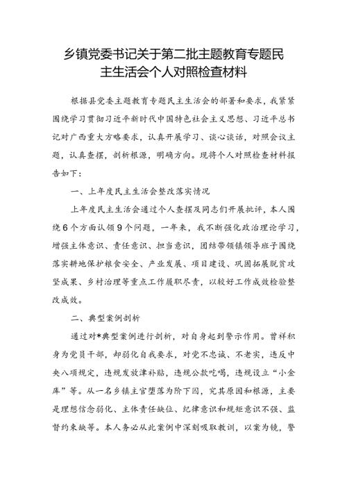 乡镇党委书记关于第二批主题教育专题民主生活会个人对照检查材料(2).docx