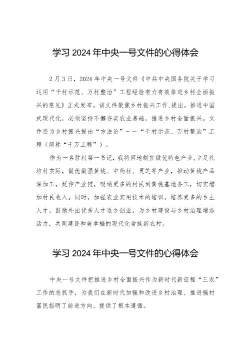 2024年中央一号文件的心得体会优秀范文22篇.docx