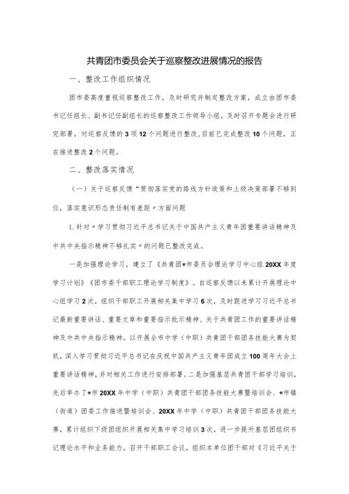 共青团市委员会关于巡察整改进展情况的报告.docx