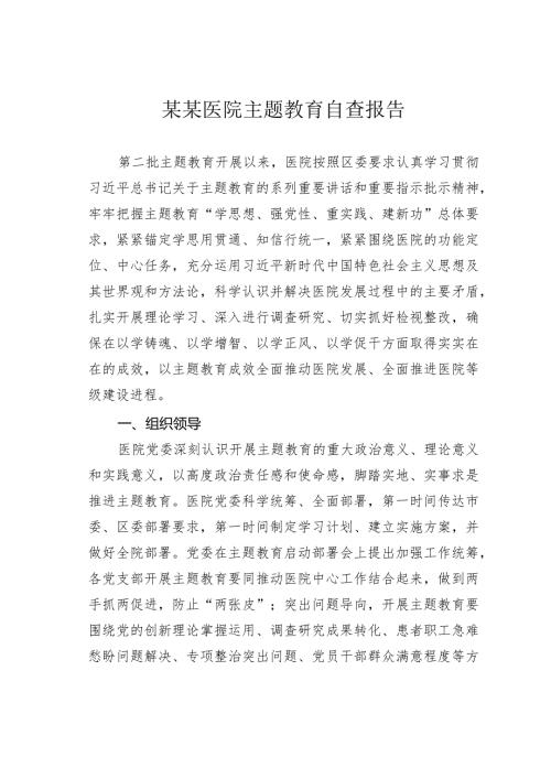 某某医院主题教育自查报告.docx