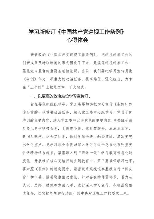 街道社区干部学习2024新修订《中国共产党巡视工作条例》的心得体会十四篇.docx