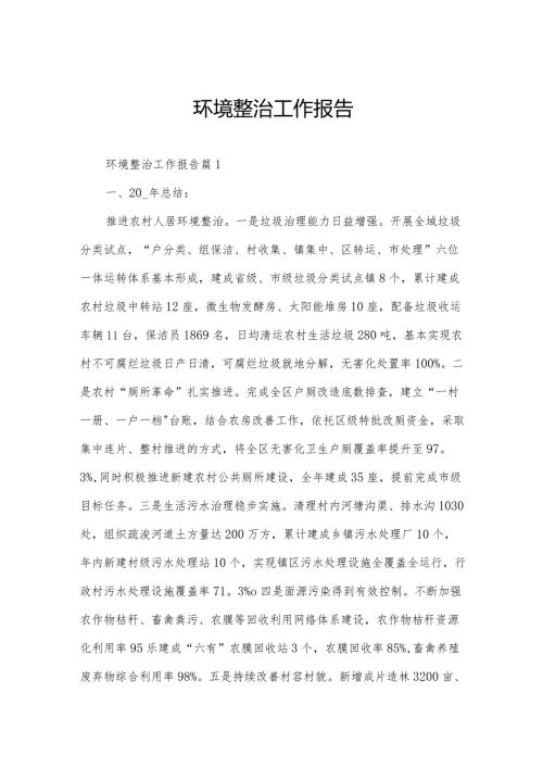 环境整治工作报告.docx