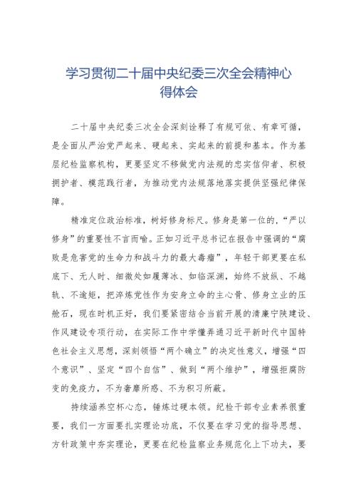 二十中央纪委三次全会精神心得学习感悟(25篇).docx
