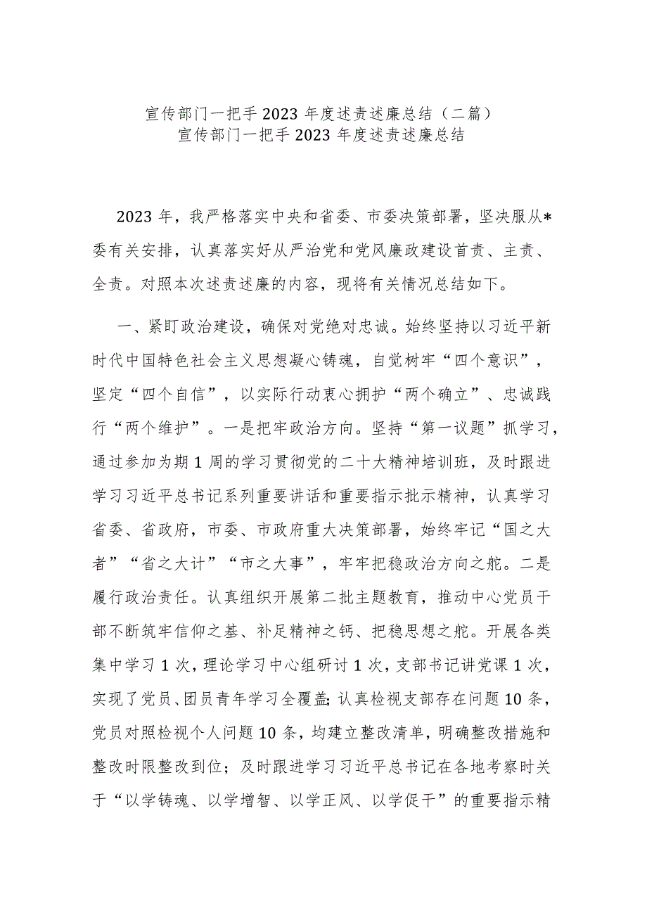 宣传部门一把手2023述责述廉总结(二篇).docx_第1页