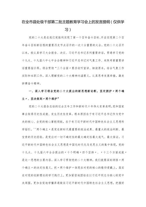 在全市县处级干部第二批主题教育学习会上的发言提纲.docx
