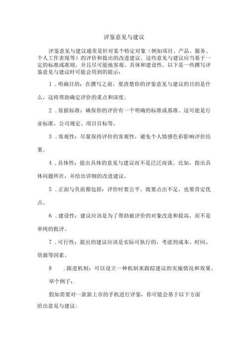 评鉴意见与建议.docx