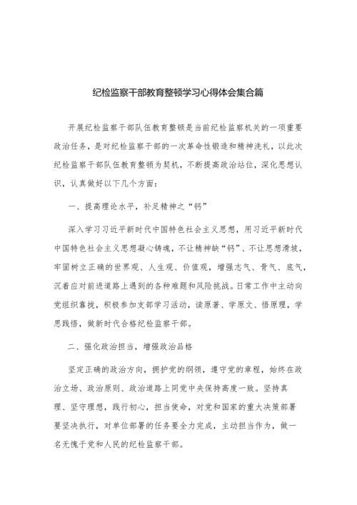 纪检监察干部教育整顿学习心得体会集合篇.docx