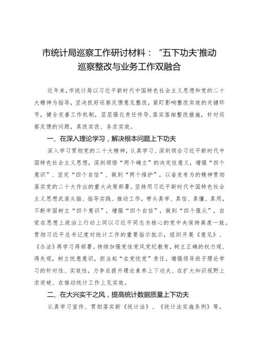 市统计局领导干部关于巡察整改工作研讨发言：“五下功夫”推动巡察整改与业务工作双融合.docx