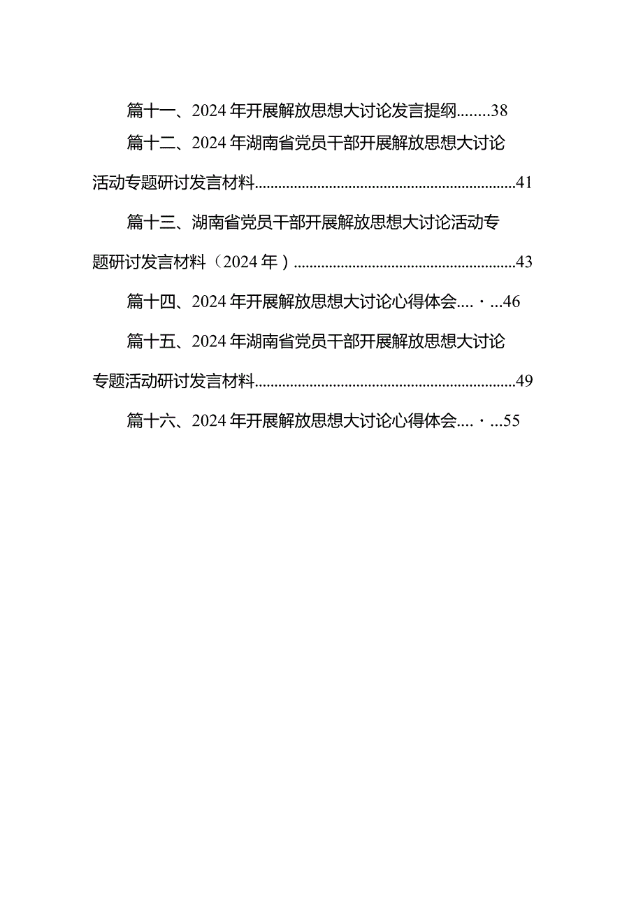 2024年湖南省党员干部开展解放思想大讨论专题活动研讨发言材料16篇（完整版）.docx_第2页