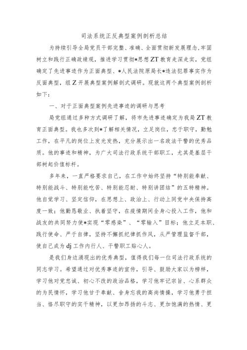 司法系统正反典型案例剖析总结.docx