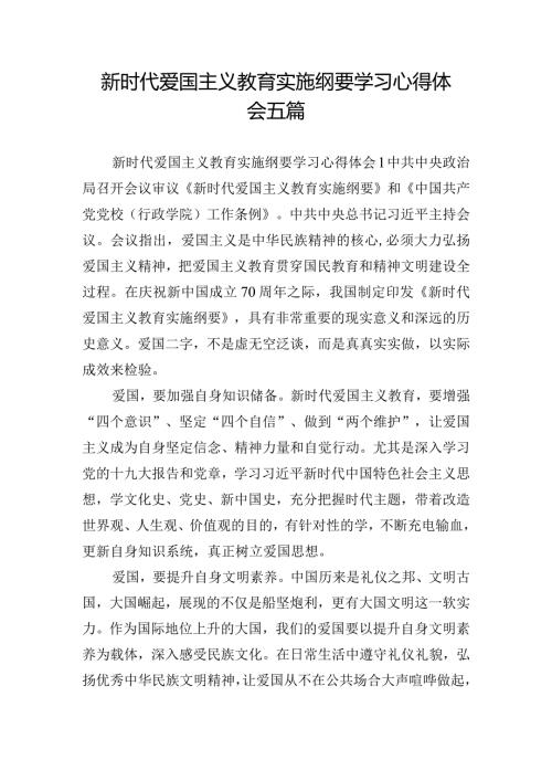 新时代爱国主义教育实施纲要学习心得体会五篇.docx
