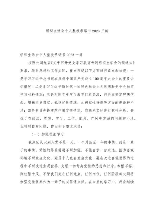 组织生活会个人整改承诺书2023三篇.docx