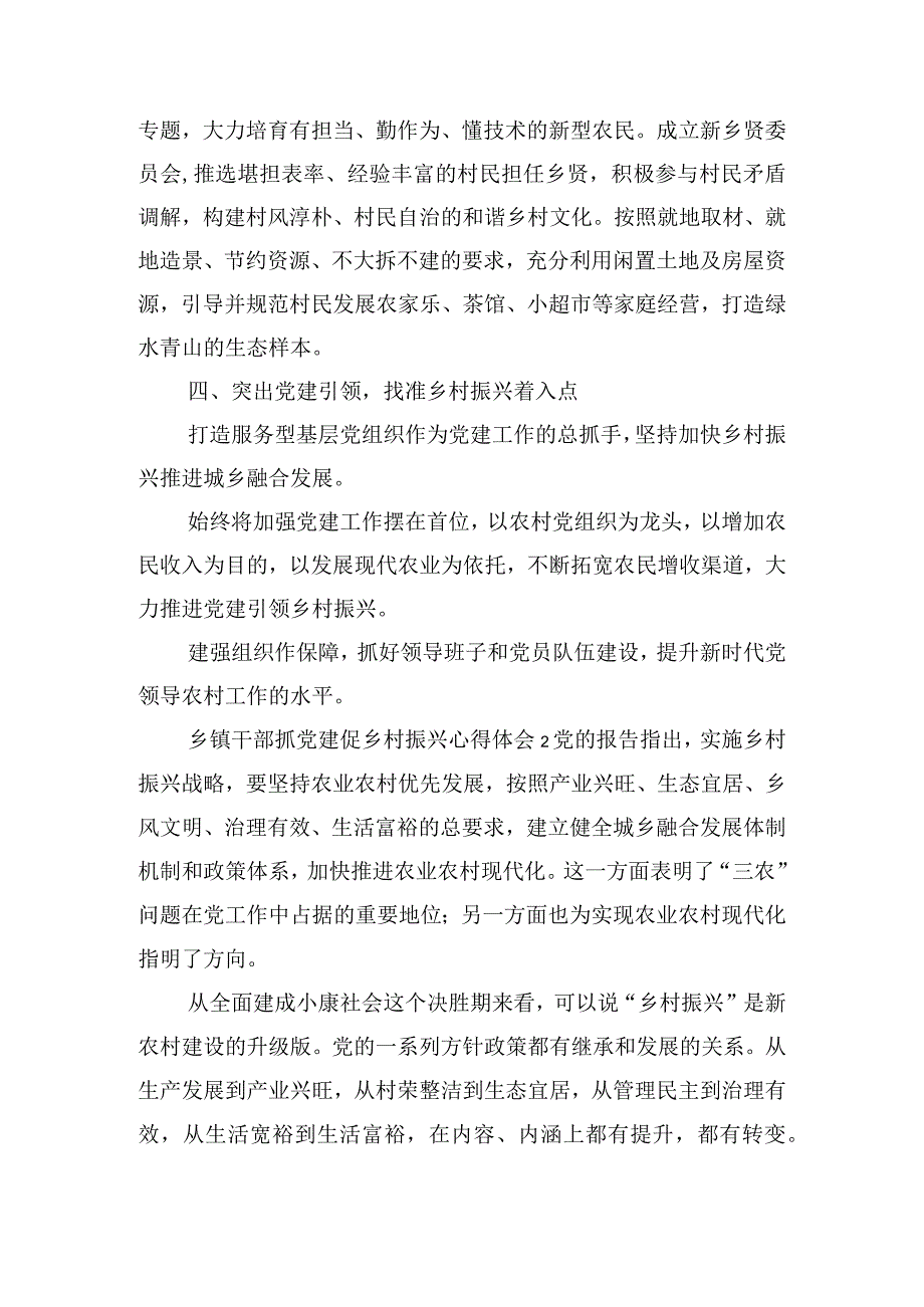乡镇干部抓党建促乡村振兴心得体会五篇.docx_第2页
